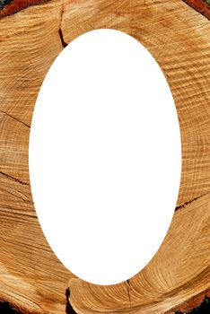 Isolated oval place for text or photograph image photoframe frame. Texture of cut oak can reveal his age