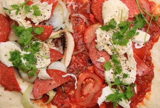 The top view of a home made pizza and its ingredients. Tomato's, onions, mushrooms, pepperoni sausage, mozzarella cheese and coriander over a homemade tomato sauce on a pizza dough base. Set on a landscape format.