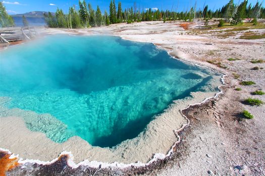 Black Pool of the West Thumb Geyser Basin in Yellowstone National Park.