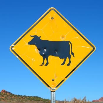 Cattle Grazing Sign in a rural southwestern area of Utah.