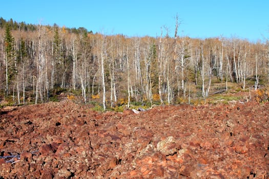 Lava field amongst the woodlands of the Dixie National Forest of Utah.