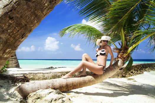 Beautiful shapely woman in a bikini reclining on a palm tree trunk suntanning on an idyllic tropical beach