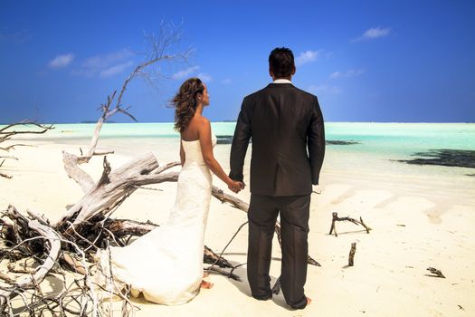 Rear view of a bride and groom standing holding hands posing on a beach with driftwood looking out over the ocean