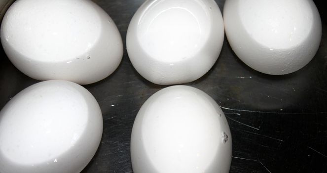 Five white eggs in water ready to cook