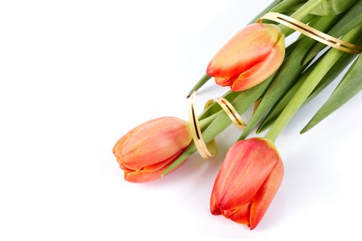The bouquet of red tulips with a gold ribbon lies on a white background