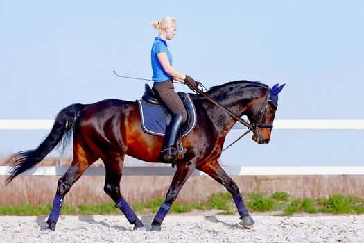 The horsewoman on a brown horse goes at a trot