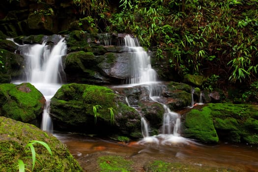 Deep forest Waterfall