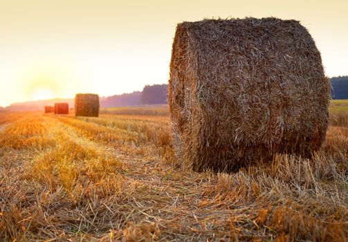 Sunrise over harvested field with hay bales