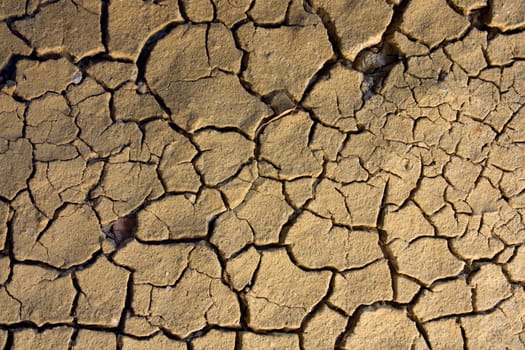 Drought, the ground cracks, no hot water, lack of moisture.