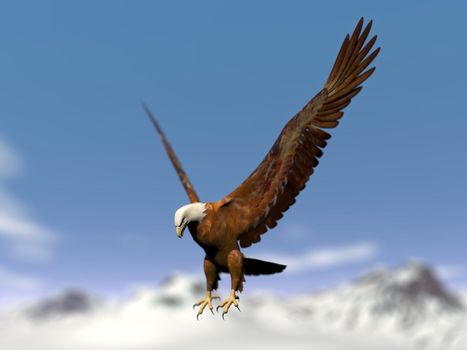 Beautiful eagle flying over the snowy mountain by cloudy winter day. Blurry effect for mountains.