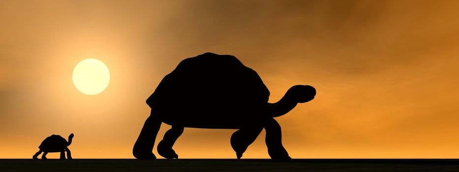 Shadows of mum galapagos tortoise showing the way to its child by sunset