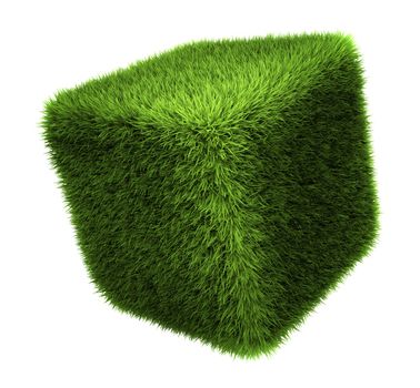 Grass cube isolated on white background, 3d render