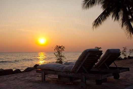 Palm forest silhouettes on sunrise