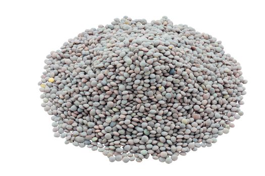 bunch of lentils variety pardina cut and isolated