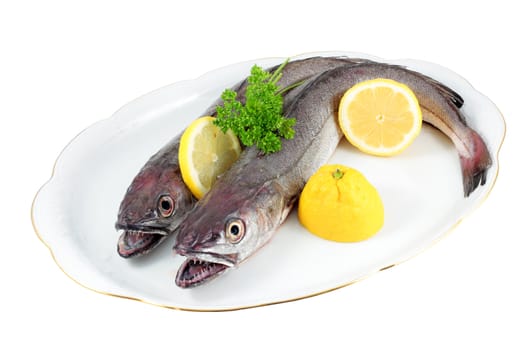 tray with two raw hake and accompanied by fresh lemon and parsley cut and isolated