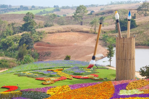 field of flower on mountain in Thailand