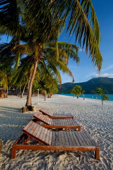Bench with Palm forest in resort of Thailand