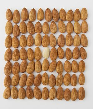 almond put in a row with one peeled almond in the middle