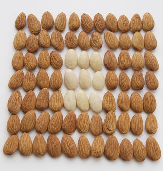 Square of peeled almond surrounded by a square of plain almond
