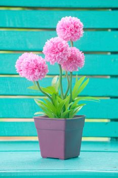 Pink flower in pot on wood background