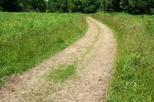 A path through a grassy field