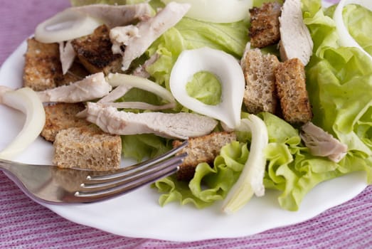 Creative salad from fresh vegetables with meat of a hen and fried bread