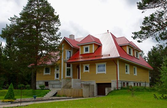 The modern two-storeyed house with garage and a tree