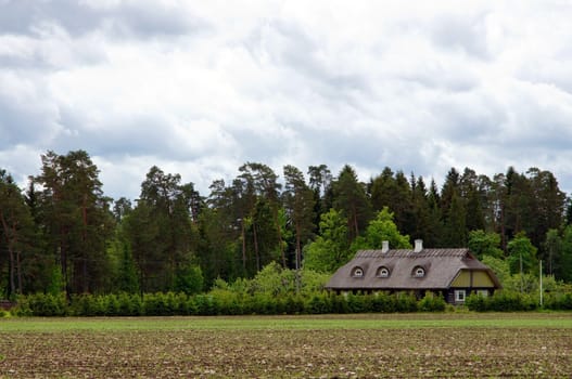 Trees, field and the house on a background of the sky