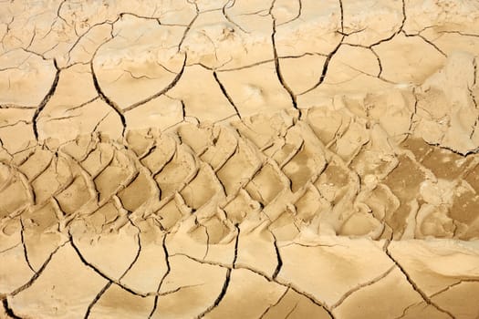 Car wheels traces on clay cracked soil