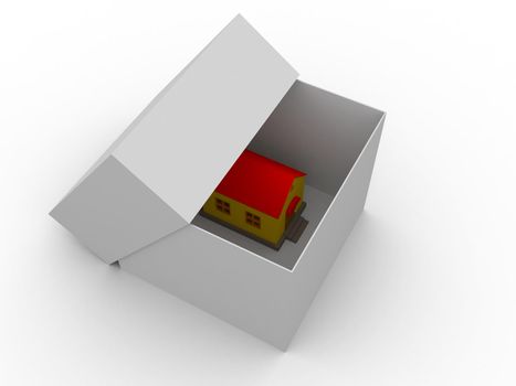 The small house in the big box