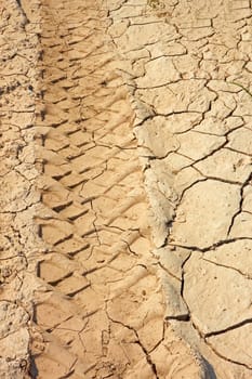 Car wheels traces on dried clay soil