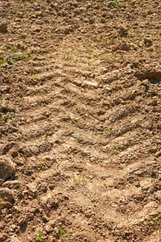 Tractor wheels traces on dried agricultural soil