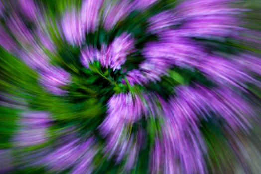 Colorful Abstract Flower Pink Purple Green Spiral Background