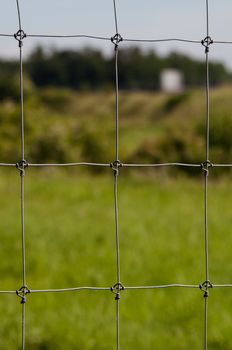 Wire fence with green grass on background