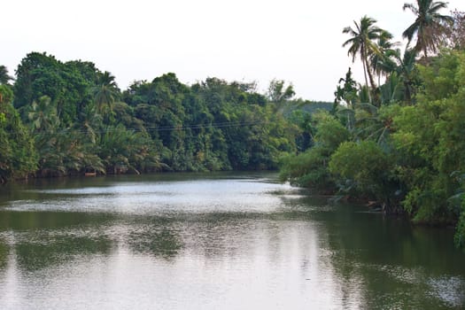 river in the jungle evening view