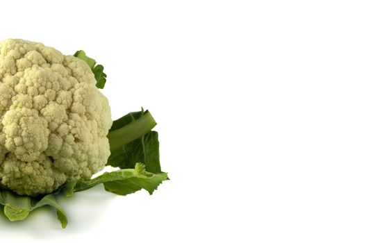 cauliflower with open space for text on the right