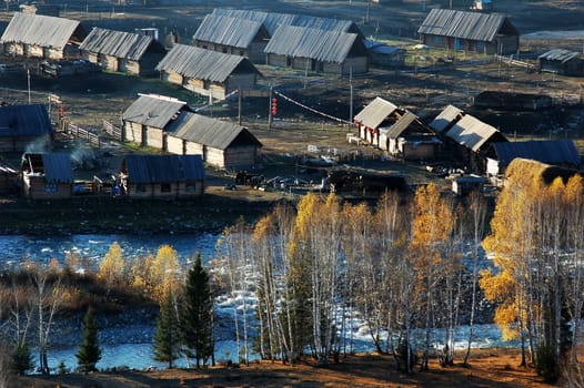 Landscape of golden woods and a village in the autumn morning