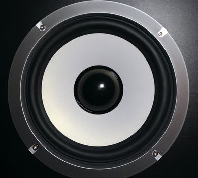 the center of a big speaker closeup