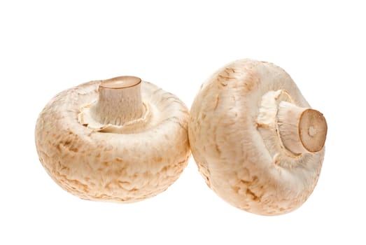 Mushrooms shot in the studio on a white background.