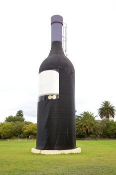Wine bottle for display in a vineyard