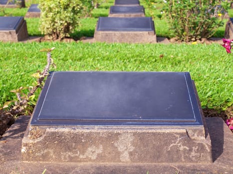 Old headstone in cemetery with palnts decorate