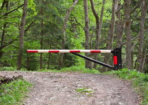 The barrier, blocking way to the forest