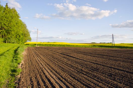 Plowed and rapeseed rural agricultural fields and cloudy blue sky.