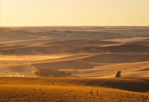 Rolling hills of wheat, peas and lentils during harvest time, Whitman County, Washington, USA