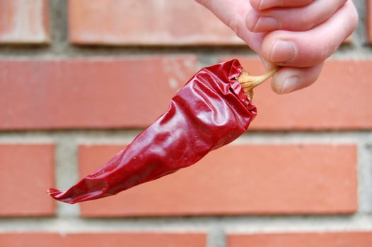 Red pepper
