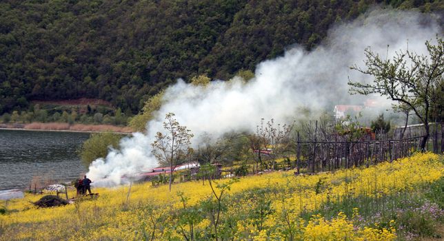 wildfire in spring