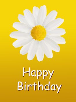 Happy birthday card with a daisy isolated on a yellow background