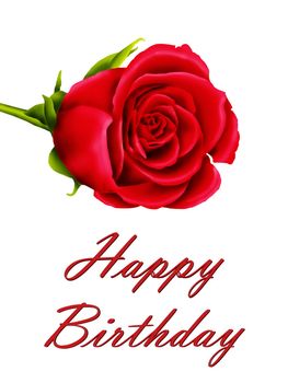 Happy Birthday card with a single red rose isolated on a white background