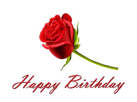 Happy Birthday card with a single red rose, isolated on a white background