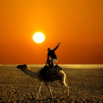 in the summer holiday on a camel ride
